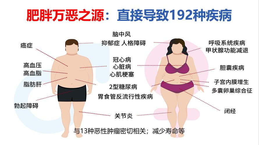 胖了会得什么病
