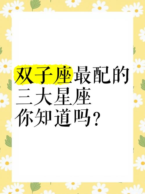 双子座喜欢什么星座