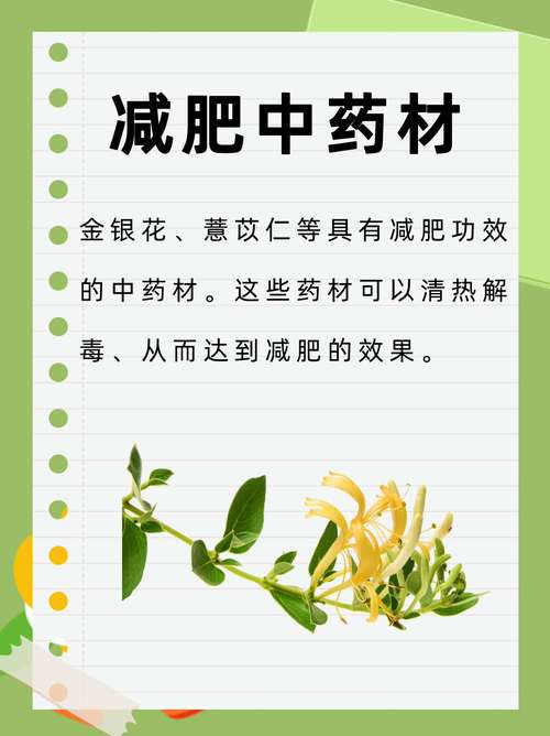 中药包减肥有什么害处吗