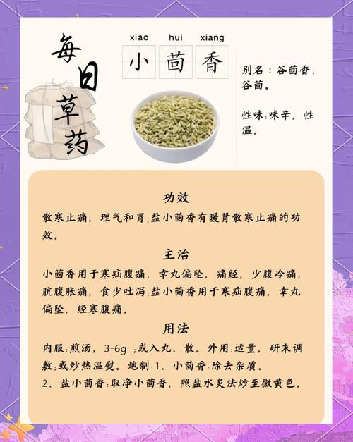 茴香有什么营养