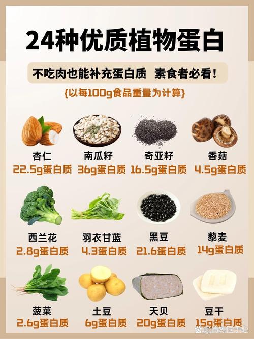 吃什么提高蛋白质