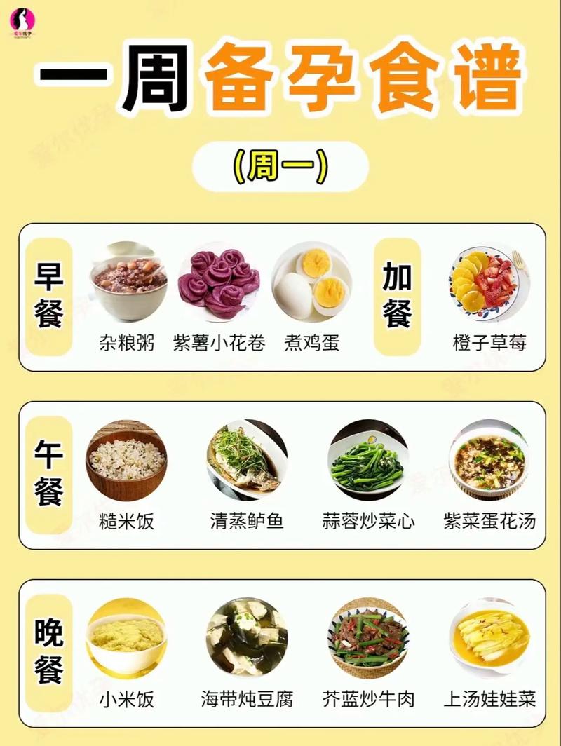 备孕能吃什么减肥