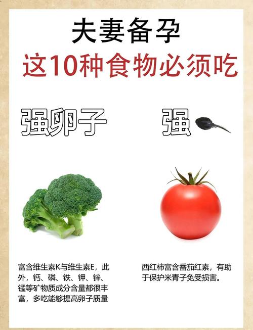 备孕能吃什么减肥