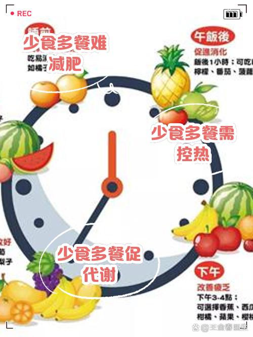 为什么少食多餐能减肥