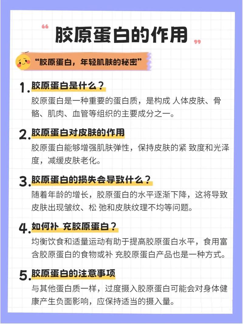 什么能补胶原蛋白