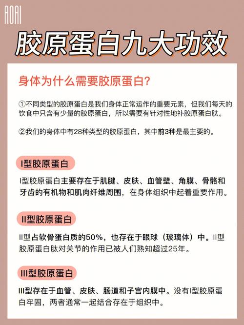 什么能补胶原蛋白