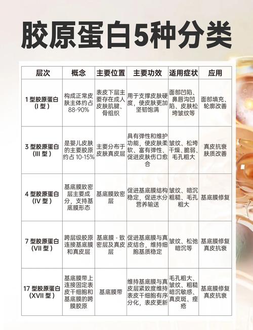 什么能补胶原蛋白