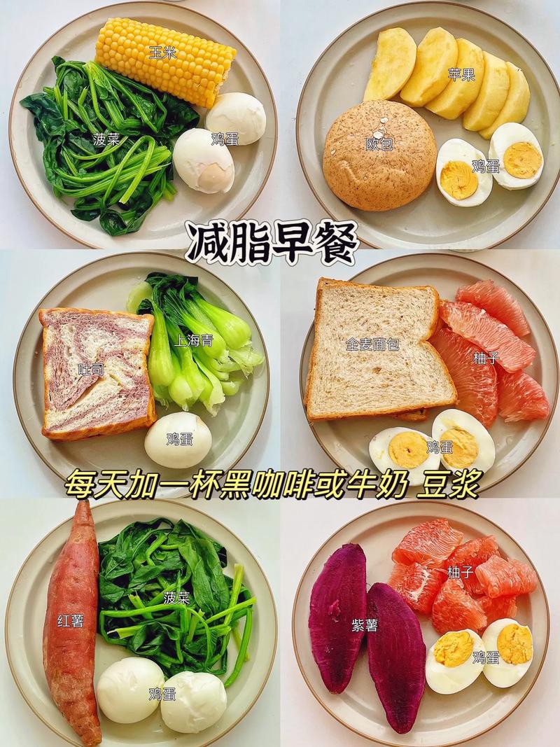 吃什么能减肥的视频