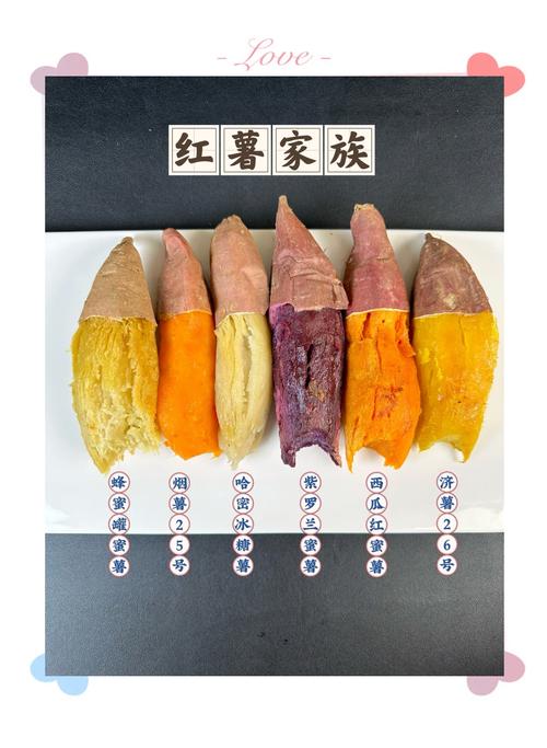 吃什么红薯减肥效果最好