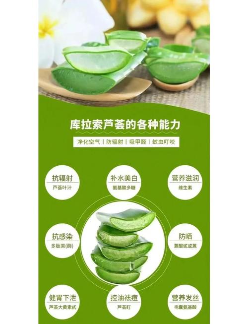 芦荟有什么功能
