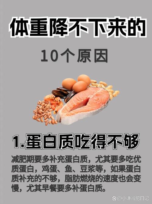 为什么摄入蛋白质 减肥