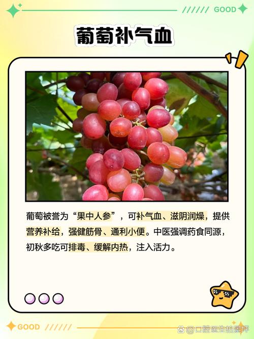 减肥什么时候吃葡萄