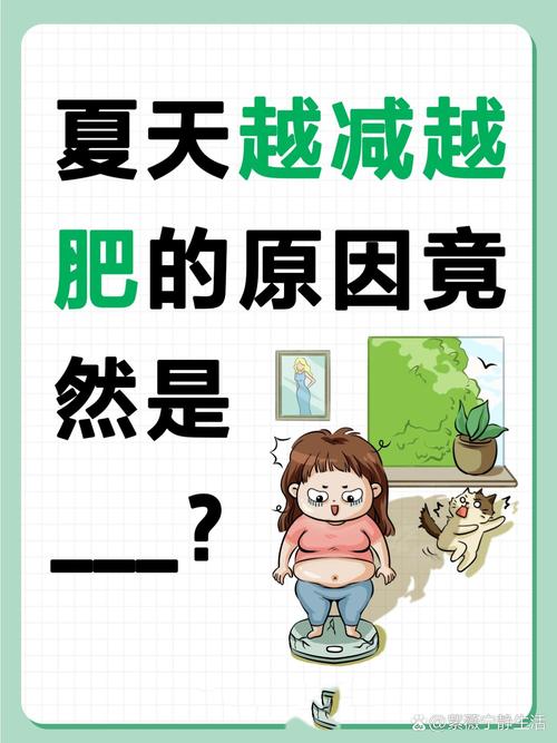 减肥为什么越减越肥