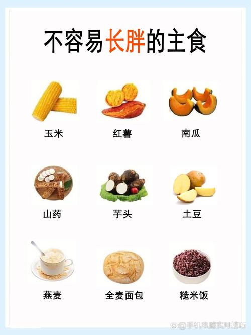 吃什么能减肥的