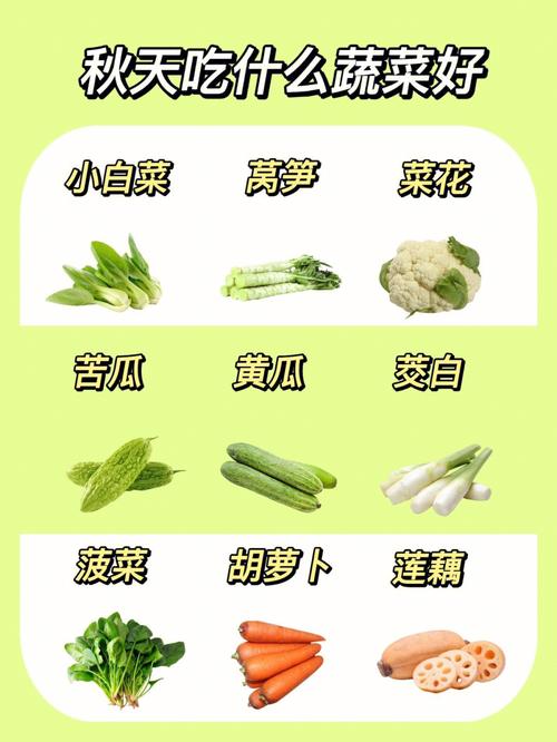 秋季适合吃什么菜