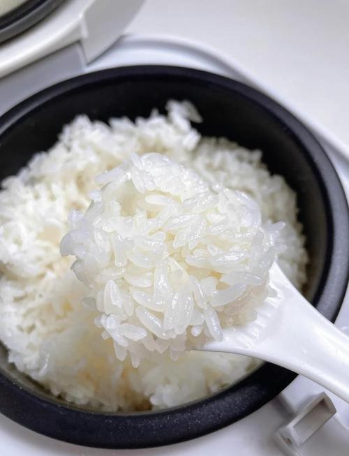 减肥应该吃什么米煮饭