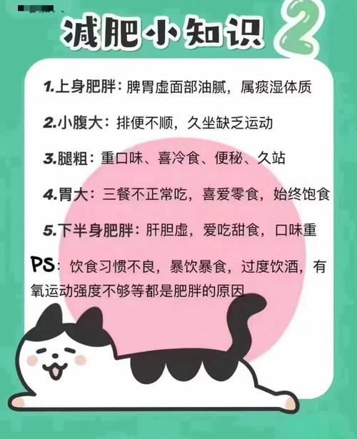 秋冬减肥要注意什么