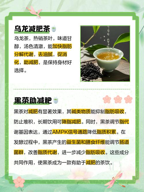 泡什么茶减肥效果好吗