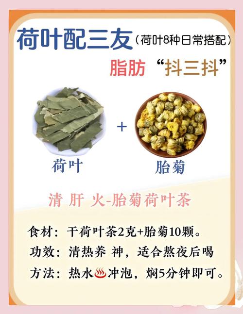 荷叶加什么最减肥效果