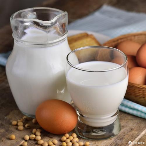 牛奶减肥法喝什么奶