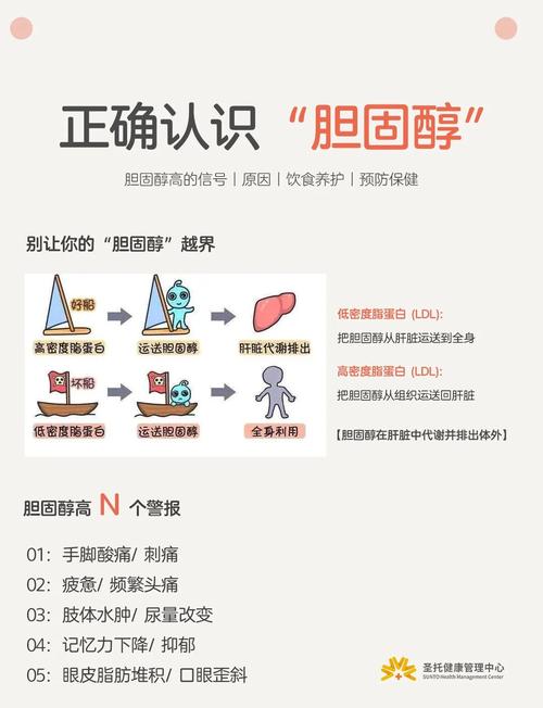 胆固醇对减肥有什么