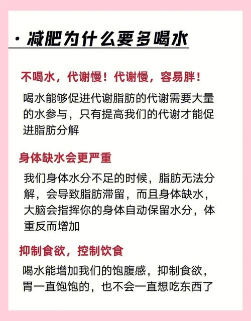 减肥为什么不能喝水