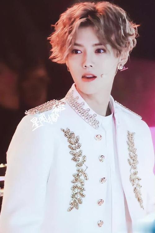 鹿晗的发型叫什么