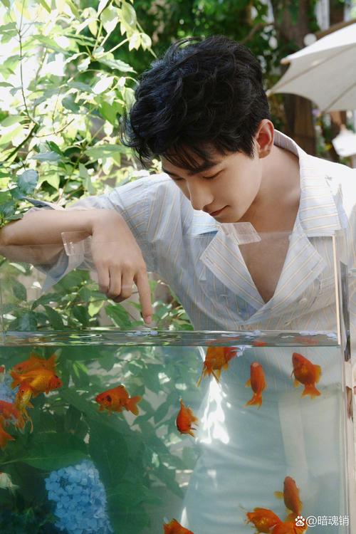 杨洋衬衫裤子怎么搭配