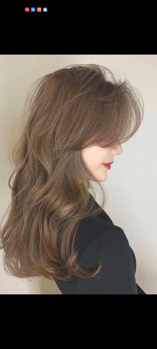 染头发有什么颜色