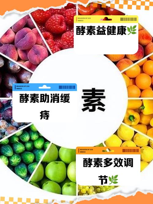 为什么酵素可以减肥