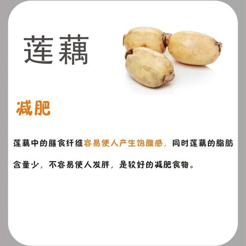 什么植物可以减肥