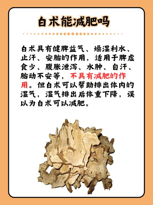 什么植物可以减肥