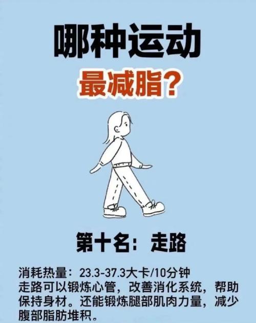 减肥什么样的运动最好