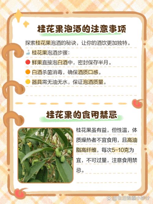 桂花和什么搭配能减肥