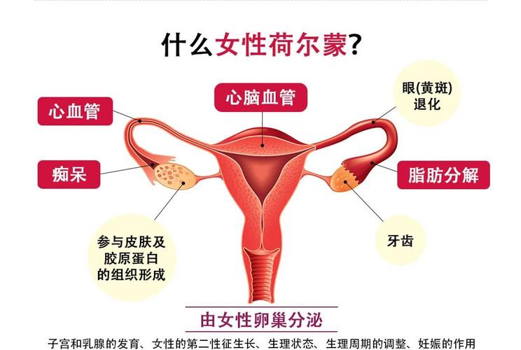 女性荷尔蒙是什么