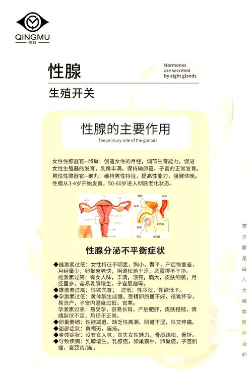 女性荷尔蒙是什么