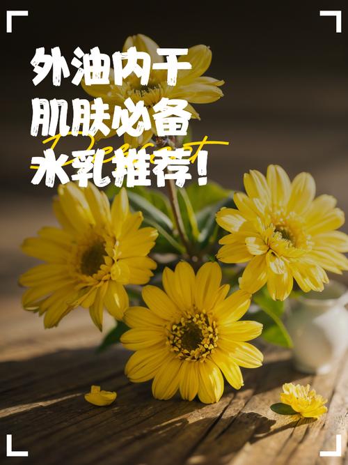 外油内干适合什么护肤品