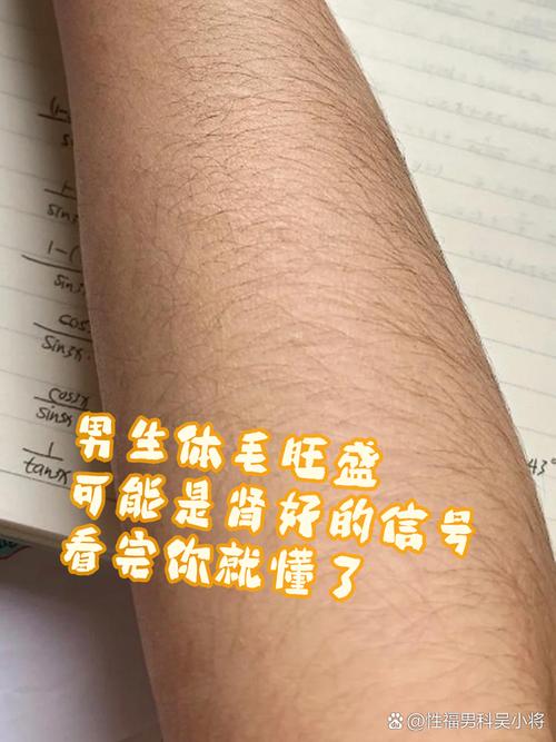 男生什么时候长毛