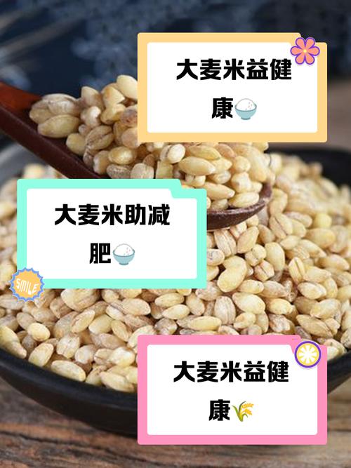 什么米吃了能减肥吗