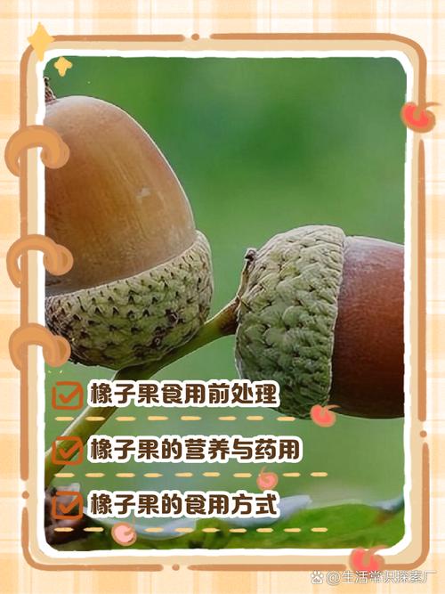 减肥果有什么副作用