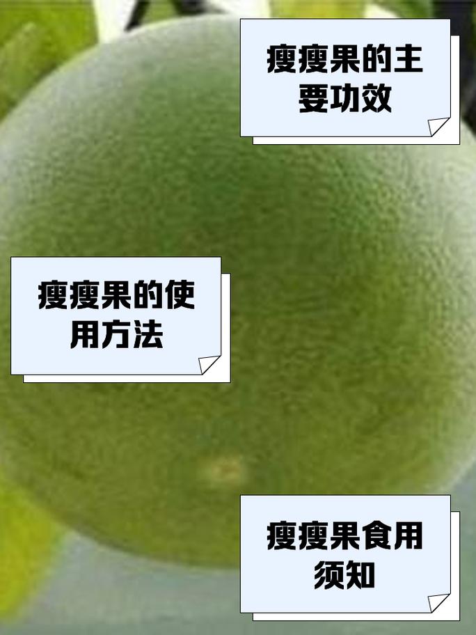 减肥果有什么副作用