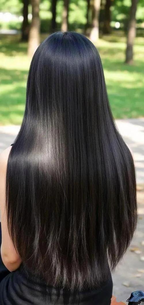 乌黑的头发像什么