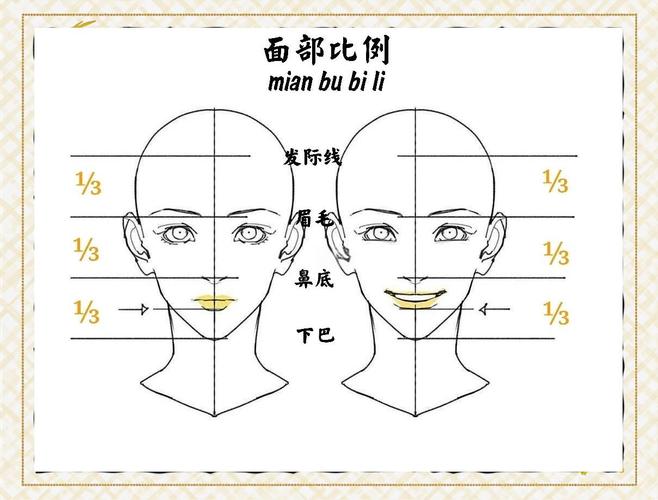 什么是三庭五眼