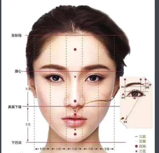 什么是三庭五眼