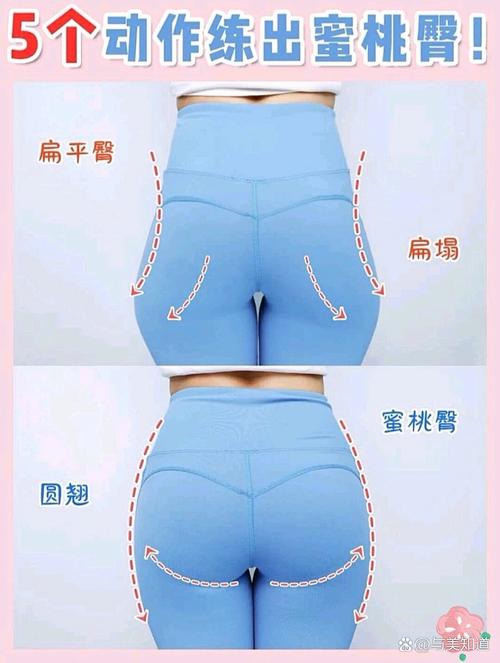 提臀是什么意思