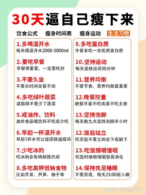 什么都蛋白质减肥法