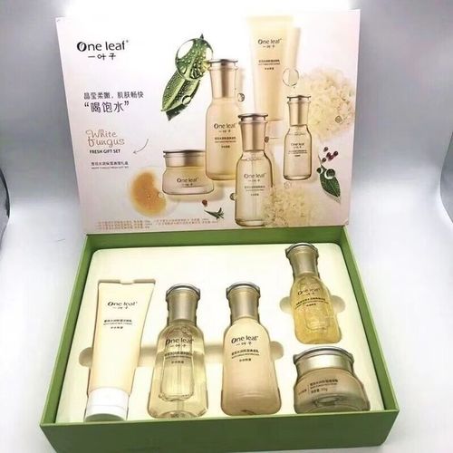 一叶子护肤品多少年了