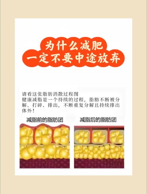 在什么减肥总会反弹