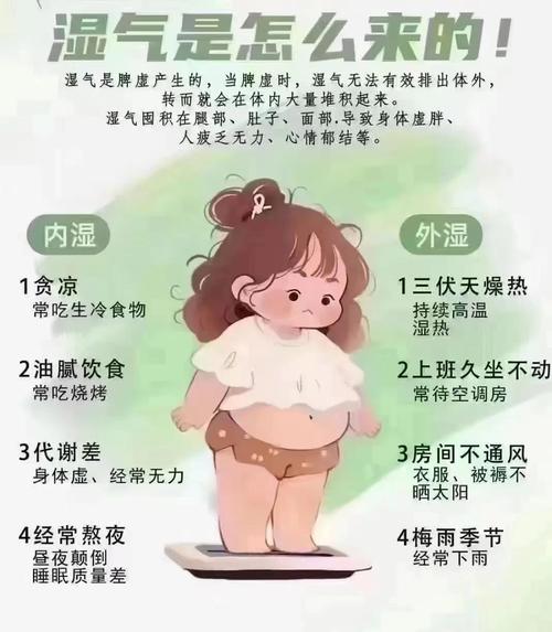 汗蒸放什么减肥吗