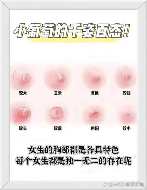 为什么乳头很小